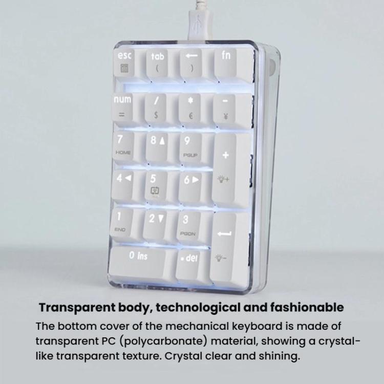 Little Kangaroo DS-9817 Backlit Non-Switching Wired Numeric Keypad Financial Business Banking Keyboard