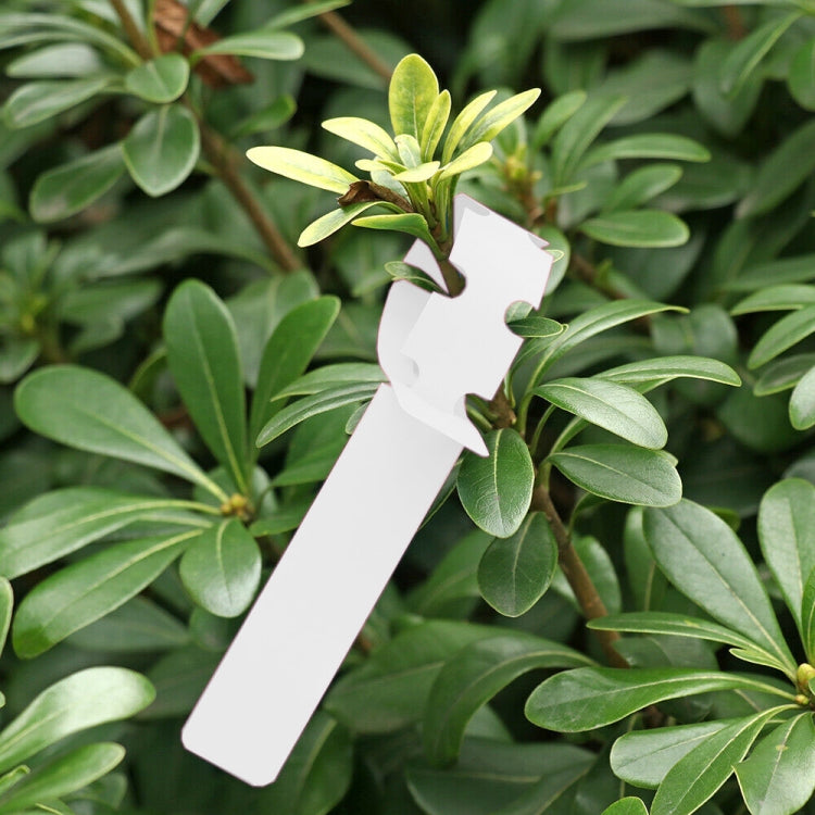 100 PCS Gardening Plant Sapling Seed Hanging Tree Label