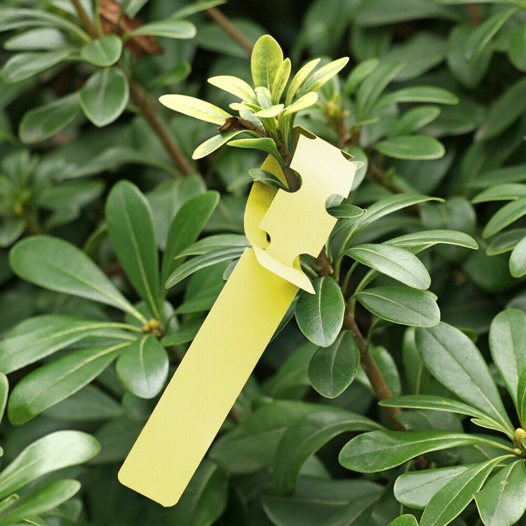 100 PCS Gardening Plant Sapling Seed Hanging Tree Label