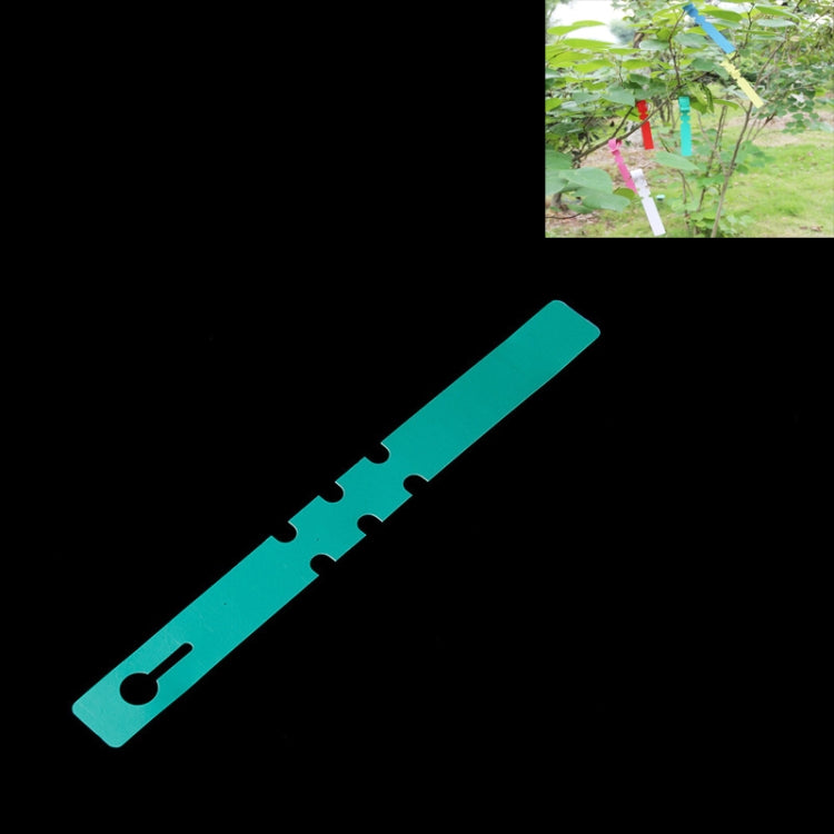100 PCS Gardening Plant Sapling Seed Hanging Tree Label