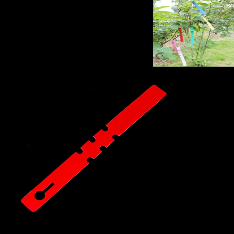 100 PCS Gardening Plant Sapling Seed Hanging Tree Label, Plant Label 5 Red, Plant Label 5 White, Plant Label 5 Pink, Plant Label 5 Yellow, Plant Label 5 Green, Plant Label 5 Blue