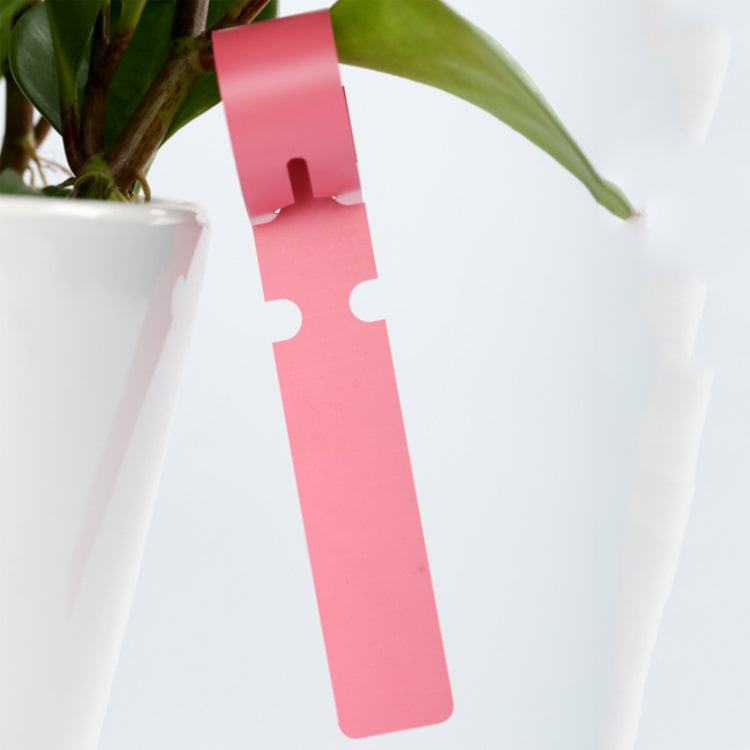 100 PCS Gardening Plant Sapling Seed Hanging Tree Label, Plant Label 5 Red, Plant Label 5 White, Plant Label 5 Pink, Plant Label 5 Yellow, Plant Label 5 Green, Plant Label 5 Blue