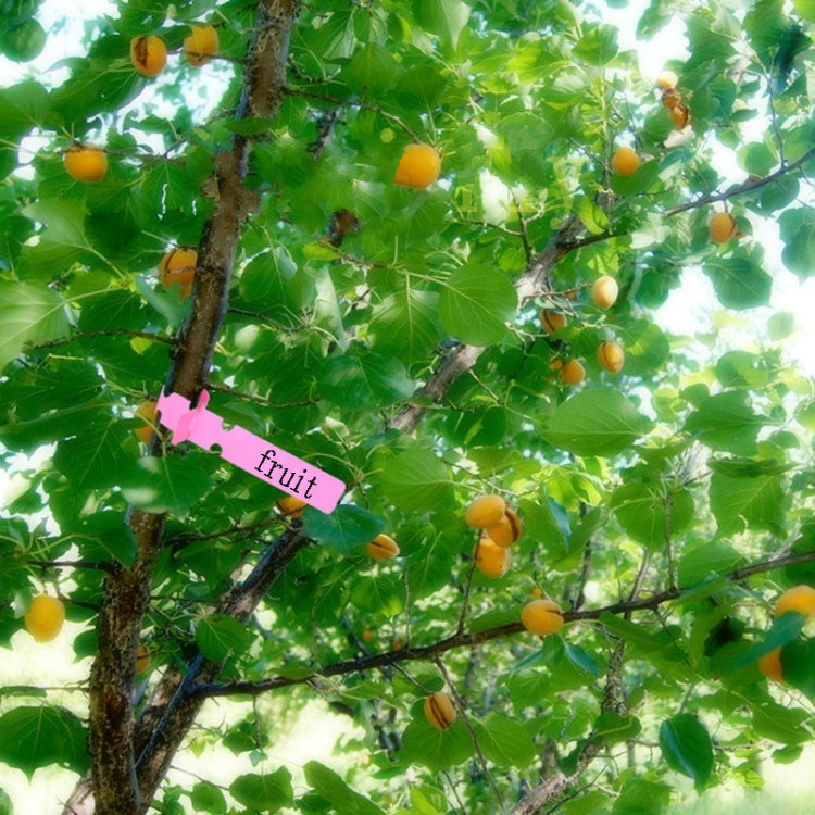 100 PCS Gardening Plant Sapling Seed Hanging Tree Label, Plant Label 5 Red, Plant Label 5 White, Plant Label 5 Pink, Plant Label 5 Yellow, Plant Label 5 Green, Plant Label 5 Blue