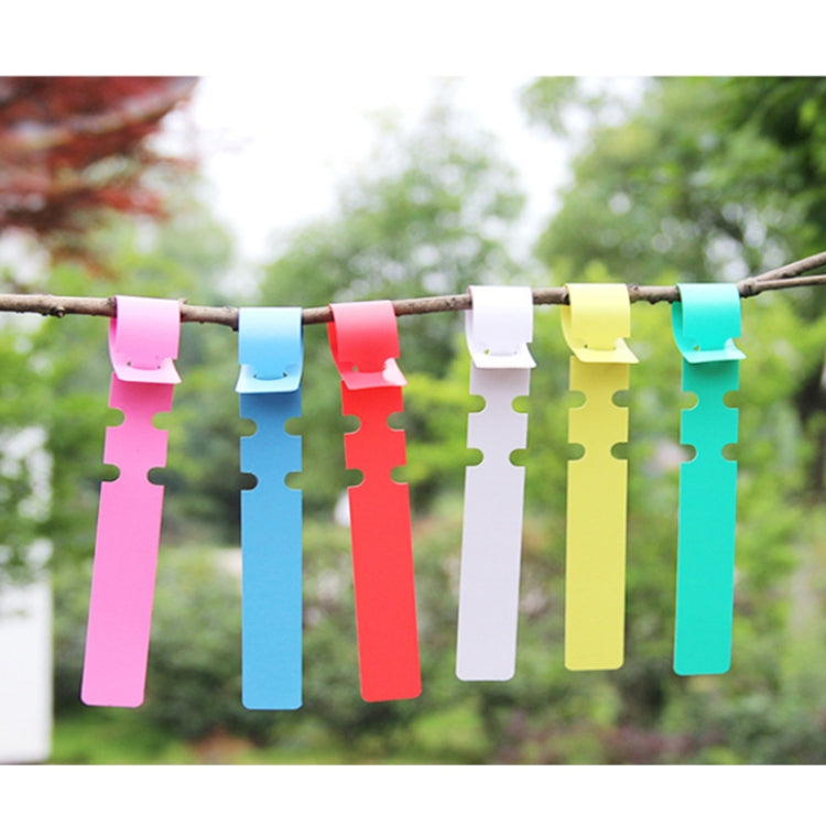 100 PCS Gardening Plant Sapling Seed Hanging Tree Label, Plant Label 5 Red, Plant Label 5 White, Plant Label 5 Pink, Plant Label 5 Yellow, Plant Label 5 Green, Plant Label 5 Blue