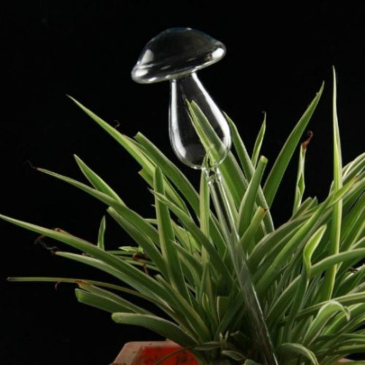 Mushroom Shape House Plants Flowers Water Feeder Automatic Self Watering Clear Glass Devices