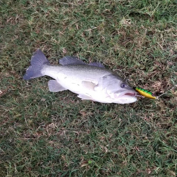 HENGJIA PE018 10cm/13g Propeller Tractor Shaped Hard Baits Fishing Lures Tackle Baits Fit Saltwater and Freshwater